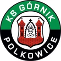 Gornik Polkowice