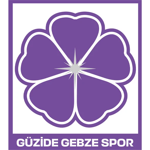 Guzide Gebzespor