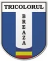 Tricolorul Breaza