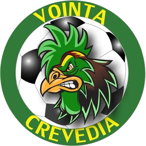 Vointa 2024 Crevedia